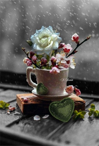 Афанасий Фет весенний дождь иллюстрация