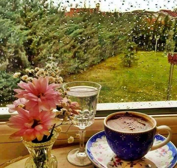 Ромашки под дождем