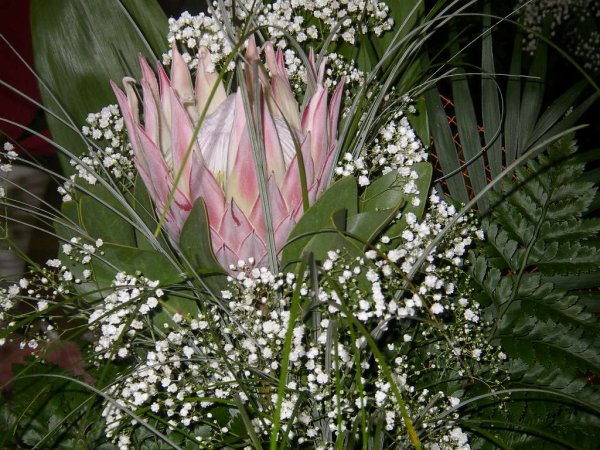 Букетные цветы названия