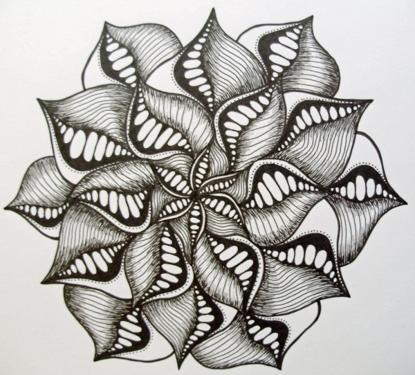 Зентангл растения