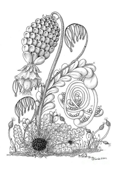 Дудлинг и Зентангл цветы