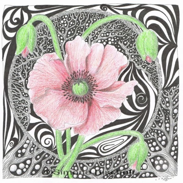 Зентанглы цветы