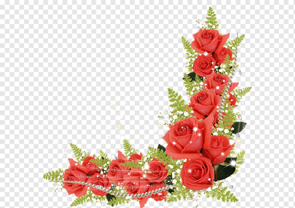 Флокс и Хризантема