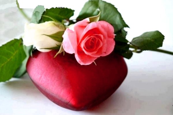 С земным днем рождения