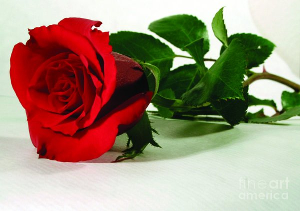 Аминь,шулай булсын открытки