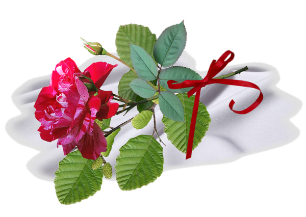 Открытки с благодарностью на татарском языке