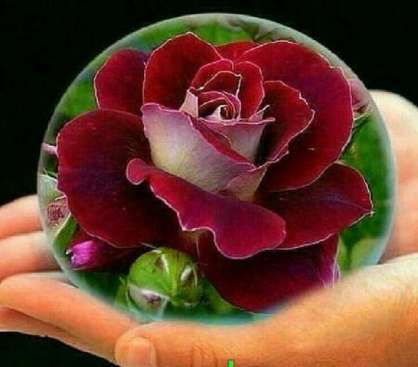 Надпись рэхмэт