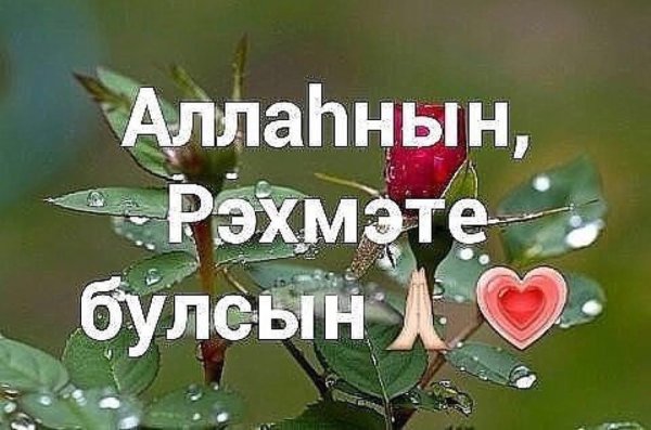 Открытки рэхмэт на татарском языке