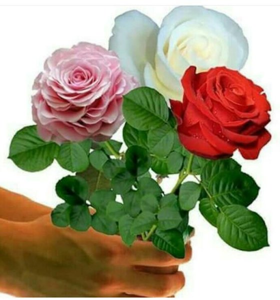 Картина рэхмэт