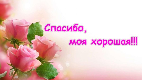 Спасибо на татарском языке