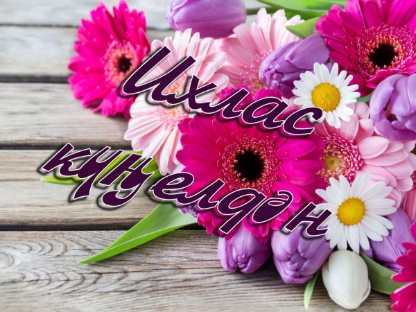 Котлыйбыз юбилей