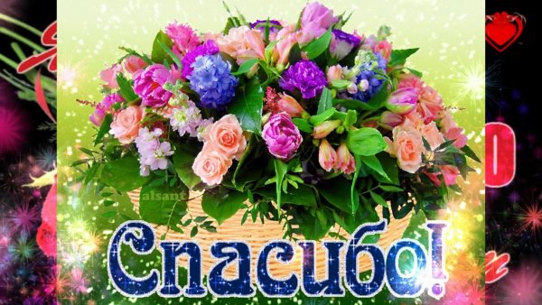 Спасибо большое