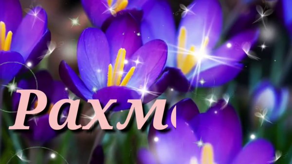 Пожелание счастья и здоровья на татарском языке