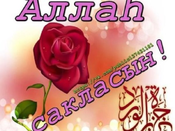 Спасибо от души