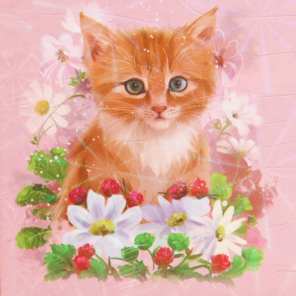 Открытки с котятами