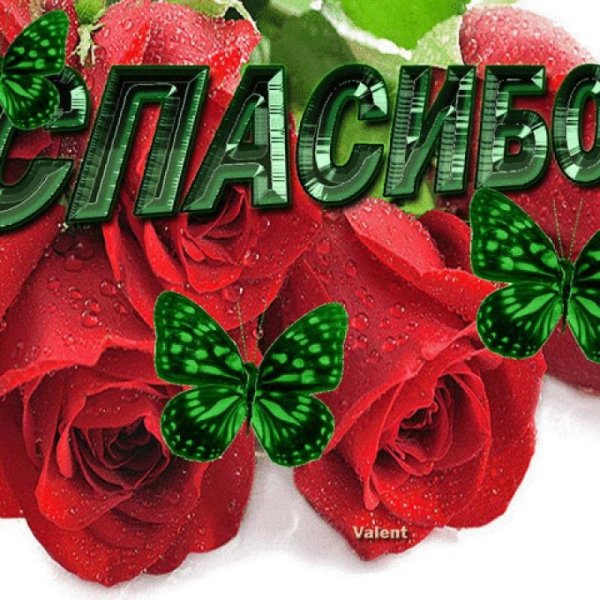 Нафиса надпись