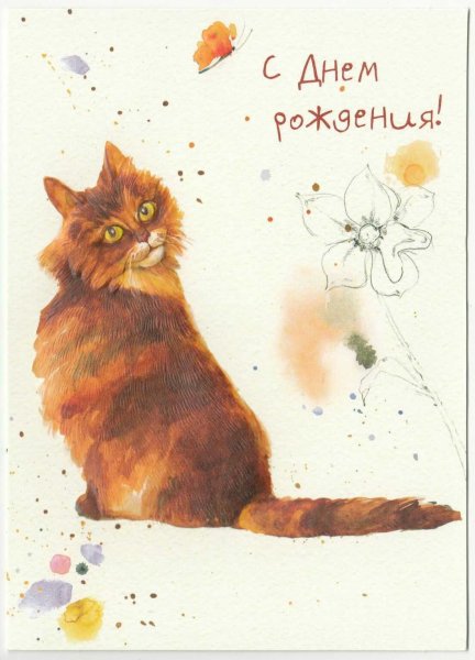 Поздравительные открытки на день рождения от милой черно-белой кошки - векторная иллюстрация