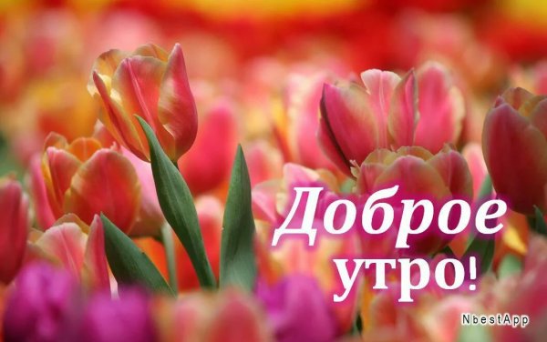 Доброе утро с цветами