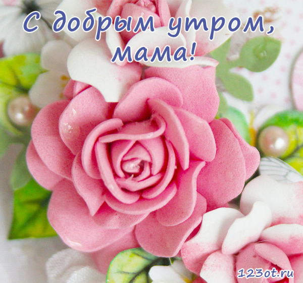 Иллюстрации с цветами