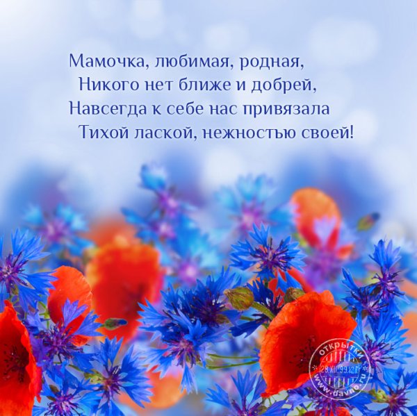 Утренние цветы с пожеланиями