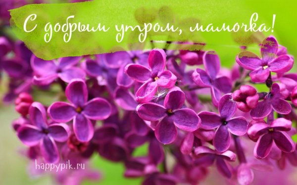 С днём рождения тётя Лариса