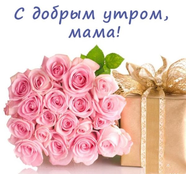 Самые нежные цветы