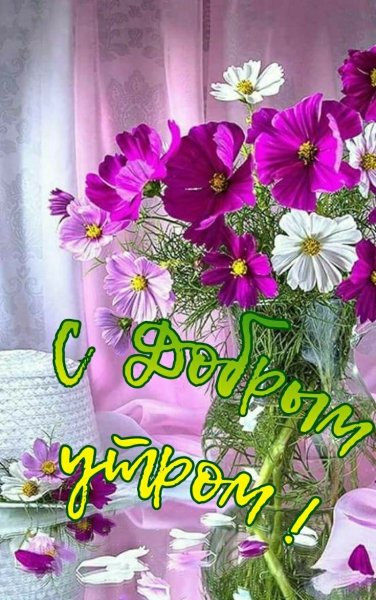 Открытки доброе утро с цветами