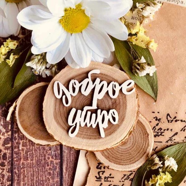 Good morning (доброе утро!)