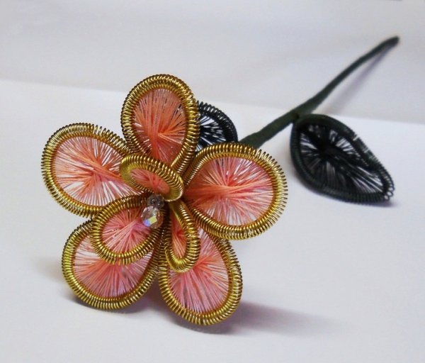 Ганутель цветы