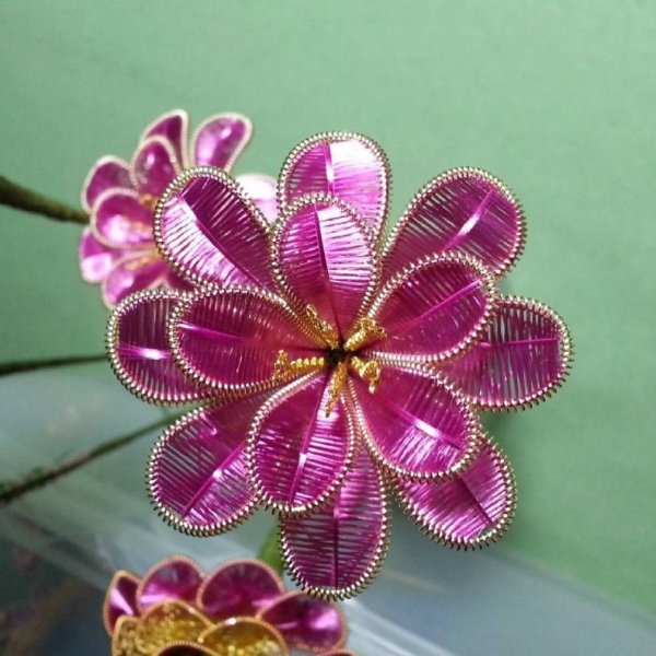 Ванда ганутель