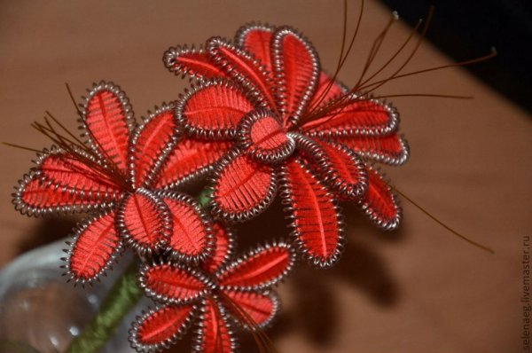 Ганутель фиалки