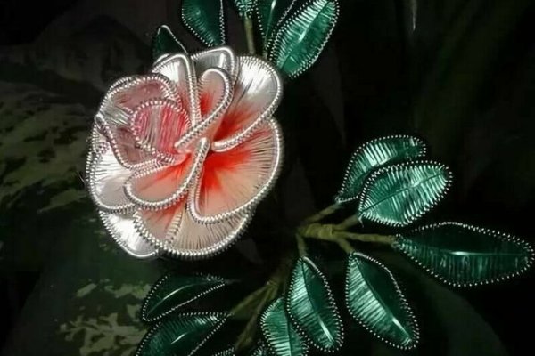 Ванда ганутель