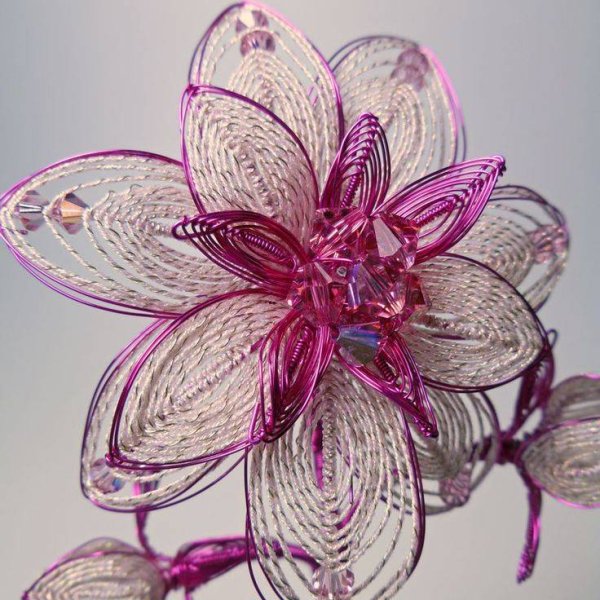 Техника ганутель