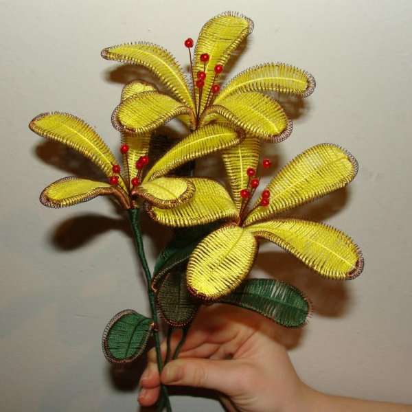 Цветы ганутель мастер