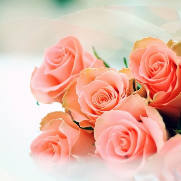 День рождения мамы