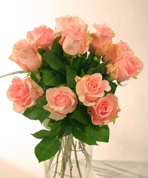 Счастья твоей дочери