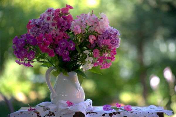 Цветочная композиция из флоксов