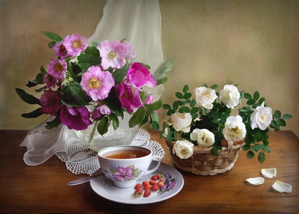 Цветы жасмина для чая