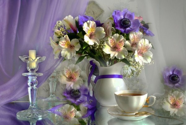 Красивые цветы в чашке