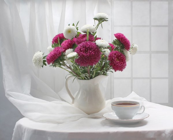 Осенние цветы на подоконнике