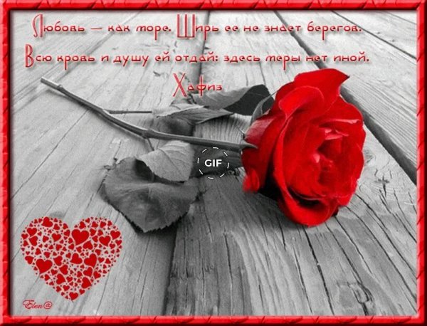 Цветы для любимых и родных