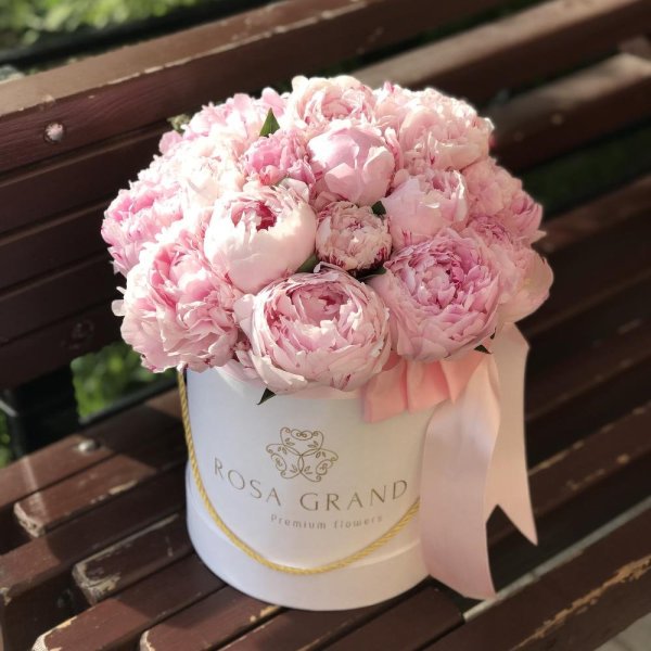 Цветы в коробке пионы