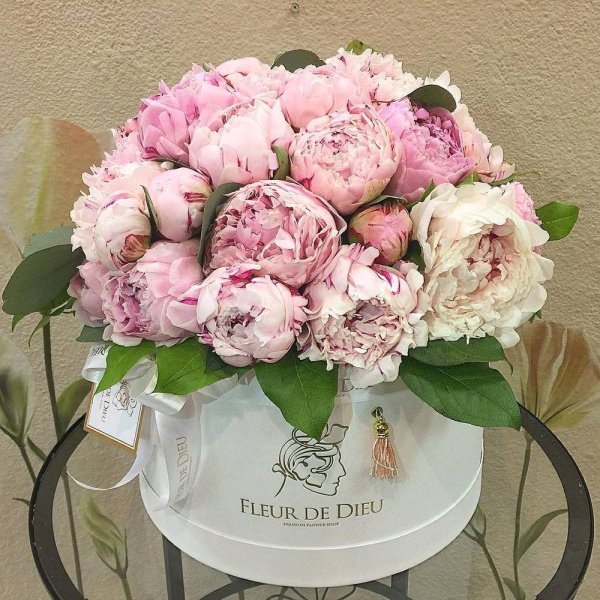 С днем рождения цветы пионы