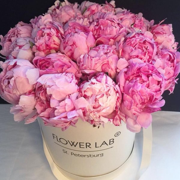 С днём рождения пионы