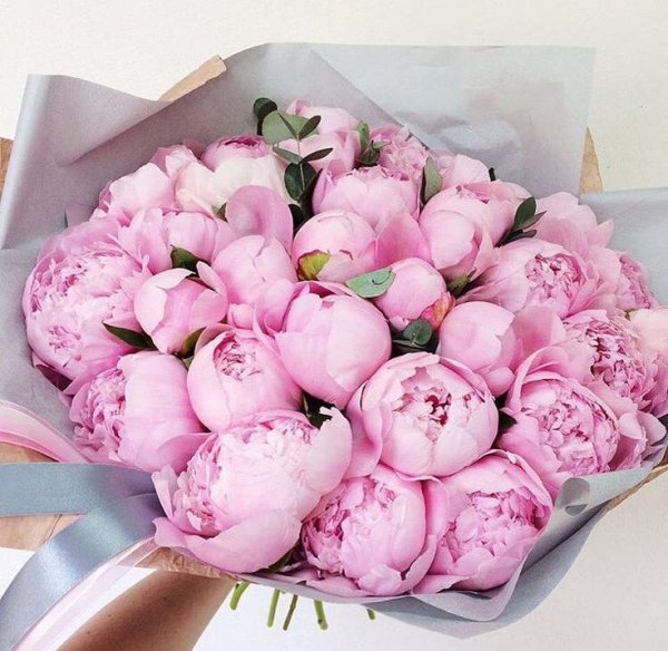 Стильный букет пионов