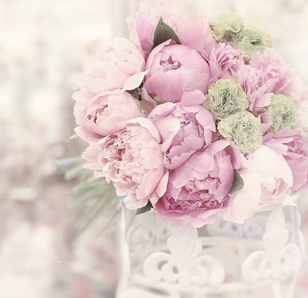 Открытки с днем рождения пионы