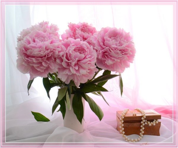 Поздравления с днём рождения пионы