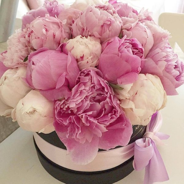 Шикарный букет пионов