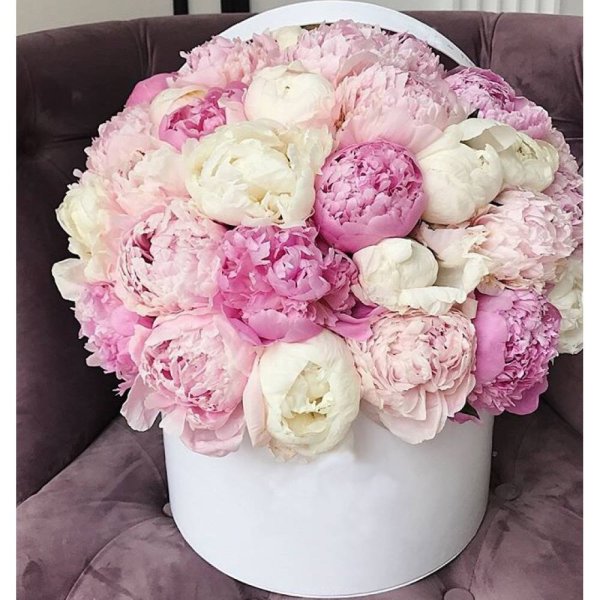 Стильные цветы с днем рождения