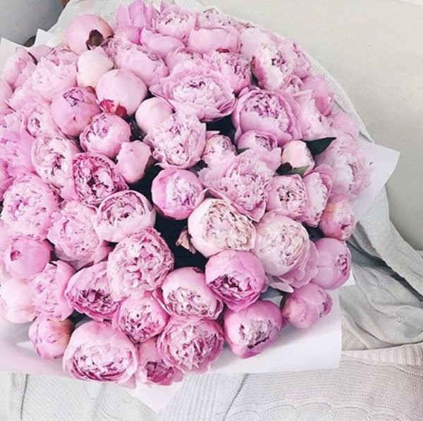 С днём рождения пионы